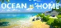 Ocean Is Home : Island Life Simulator⚡Steam RU