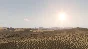 Arma 3 Creator DLC: Western Sahara🔸STEAM RU⚡️AUTO