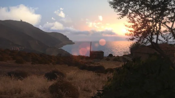 Arma III 3 (STEAM KEY REGION FREE)
