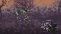 ✅Osteoblasts (Steam Key/ Global)  💳0%