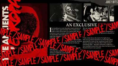 Barotrauma - Supporter Pack (STEAM key DLC) RU+СНГ