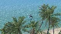 X-Plane 12 Steam Access OFFLINE