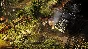 🔥Wasteland 2: Director´s Cut 💳0%💎ГАРАНТИЯ🔥