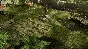 🔥Wasteland 2: Director´s Cut 💳0%💎ГАРАНТИЯ🔥