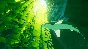 ABZU XBOX ONE/X|S ❗КЛЮЧ❗