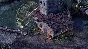 🔥Pillars of Eternity Hero Edition RU/CIS 💳0%💎🔥