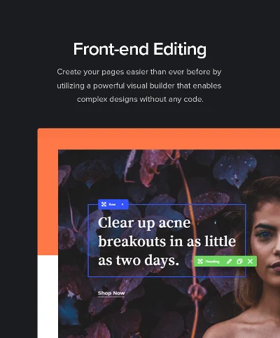 Salient [17.3.0] - Русификация премиум темы 🔥💜