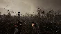 S.T.A.L.K.E.R. 2: Heart of Chornobyl - Ultimate Edition