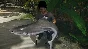 Ultimate Fishing Simulator 2⚡AUTODELIVERY Steam Russia