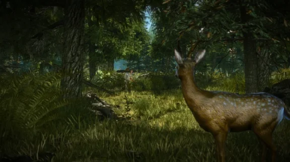 The Witcher 2: Assassins of Kings Enhanced Edition ROW