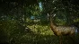 The Witcher 2: Assassins of Kings Enhanced Edition ROW