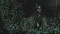 ✅ Alan Wake 2 Deluxe Edition XBOX SERIES X|S Key 🔑