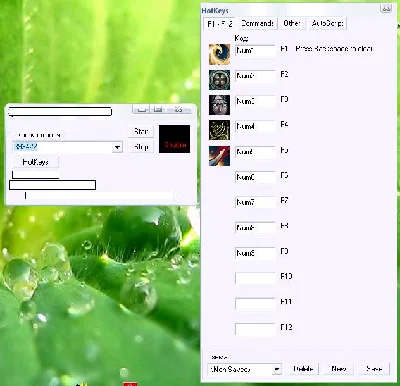The program for the management Lineage2 another window on a