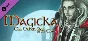 Magicka: The Other Side of the Coin DLC⚡Steam RU