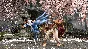 STREET FIGHTER 6 Ultimate Edition Steam NO QUEUE 🌍