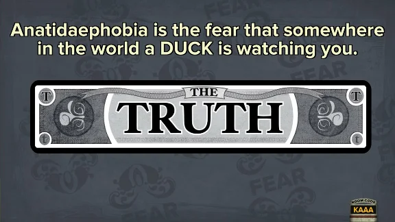 Fibbage The Hilarious Bluffing Party Game Xbox activati