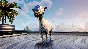 ✅ Goat Simulator 3 Downgrade Edition Xbox активация