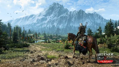 ✨The Witcher 3: Wild Hunt Steam Gift Turkey WMZ