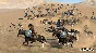 ✨Mount & Blade II: Bannerlord Digital Delux Турция WMZ