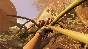 ✨Grounded Steam Gift Турция WMZ