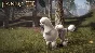 Fable 3 Dog Breed Set DLC STEAM Gift - Global