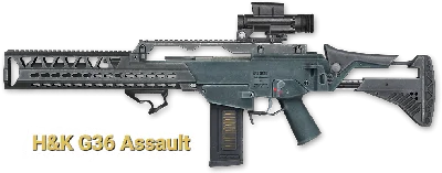 Macros on H&K G36 Assault for Warface