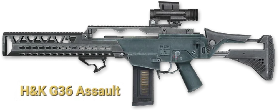 Macros on H&K G36 Assault for Warface