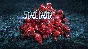 Devil May Cry 5 - 500000 Red Orbs DLC STEAM ⚡️АВТО 💳0%