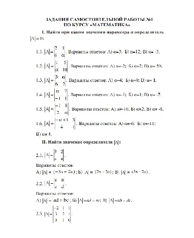 RFEI Mathematics, Independent work №1