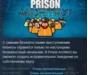Prison Architect 💎STEAM KEY RU+CIS LICENSE