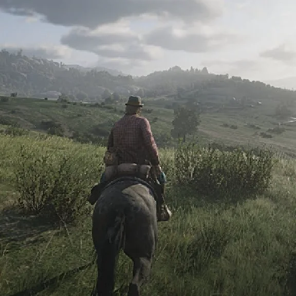 ⭐️Red Dead Redemption 2 ✅STEAM RU⚡AUTODELIVERY💳0%
