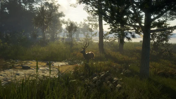 theHunter Call of the Wild - Te Awaroa National Pack🔑