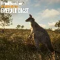 theHunter Call of the Wild Emerald Coast Australia XBOX