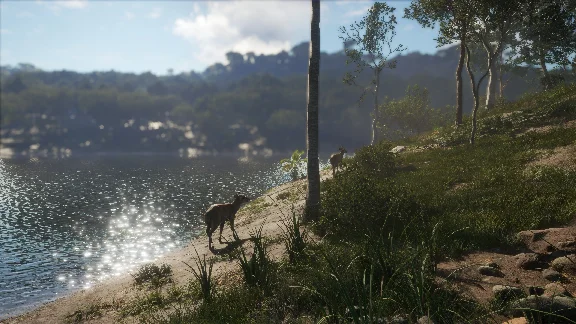 theHunter Call of the Wild Emerald Coast Australia XBOX