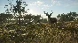 theHunter Call of the Wild Emerald Coast Australia XBOX