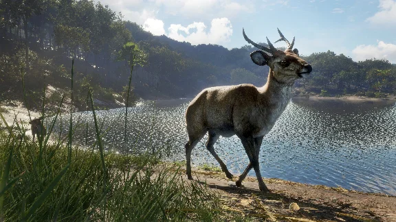 theHunter Call of the Wild Emerald Coast Australia XBOX