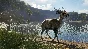 theHunter Call of the Wild Emerald Coast Australia XBOX