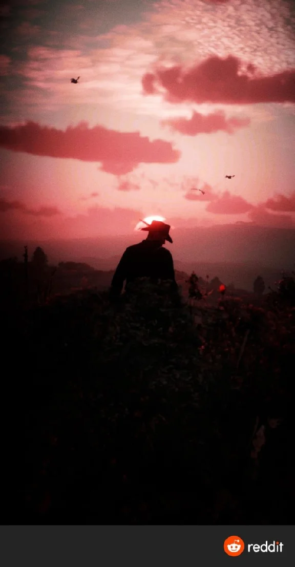 ✅Red Dead Redemption 2 (Xbox One, X|S)🐎