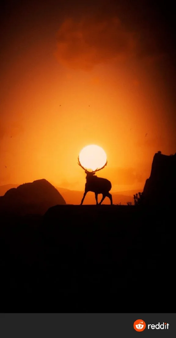 ✅Red Dead Redemption 2 (Xbox One, X|S)🐎