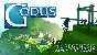 Godus (Steam Gift  Region Free)