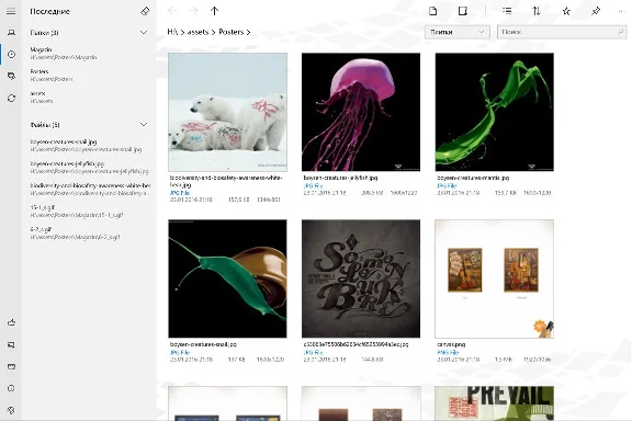 Files&Folders Pro Microsoft Store Windows PC activation