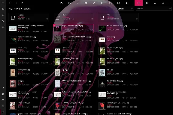 Files&Folders Pro Microsoft Store Windows PC activation
