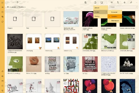 Files&Folders Pro Microsoft Store Windows PC activation