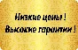 USD 5-1000$ для Google/PayPal/YouTube/Skype и др
