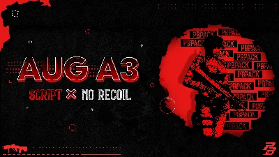 No recoil (AUG A3) for Point Blank