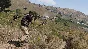 Arma 3 Tac-Ops Mission Pack DLC⚡АВТОДОСТАВКА Steam