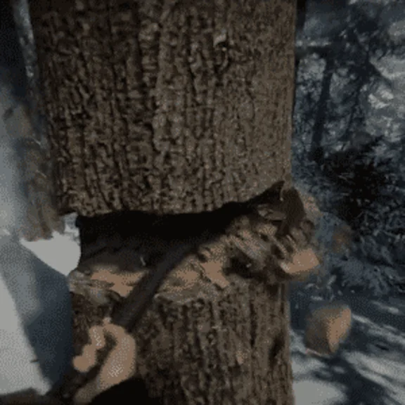 ✅Sons Of The Forest ☑️ ВСЕ РЕГИОНЫ ☑️ STEAM GIFT✅