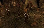 Knights of the Temple: Infernal Crusade 💎 STEAM GIFT