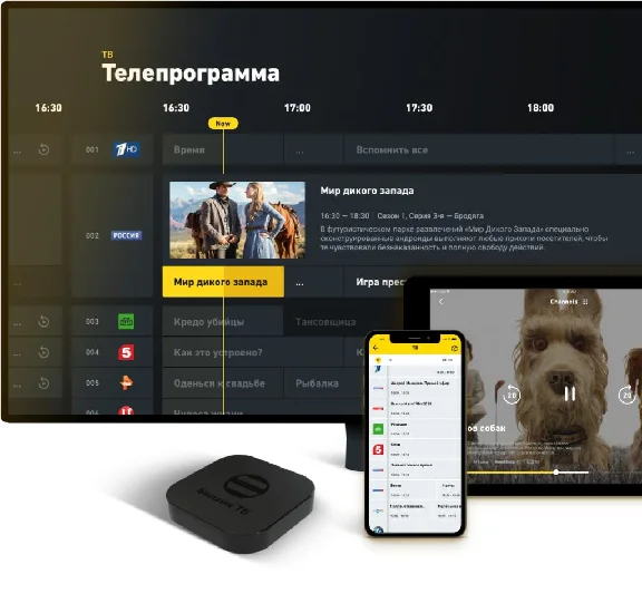 BEELINE TV FOR 2 MONTHS BEELINE TV