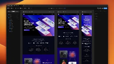 Framer | Basic, Pro - 1/12 months to your account